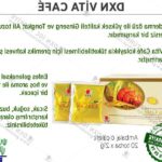 Que es dxn ganoderma