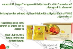 Que es dxn ganoderma